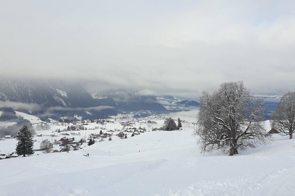 White In Appartement *